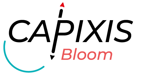 Logotype Capixis Bloom